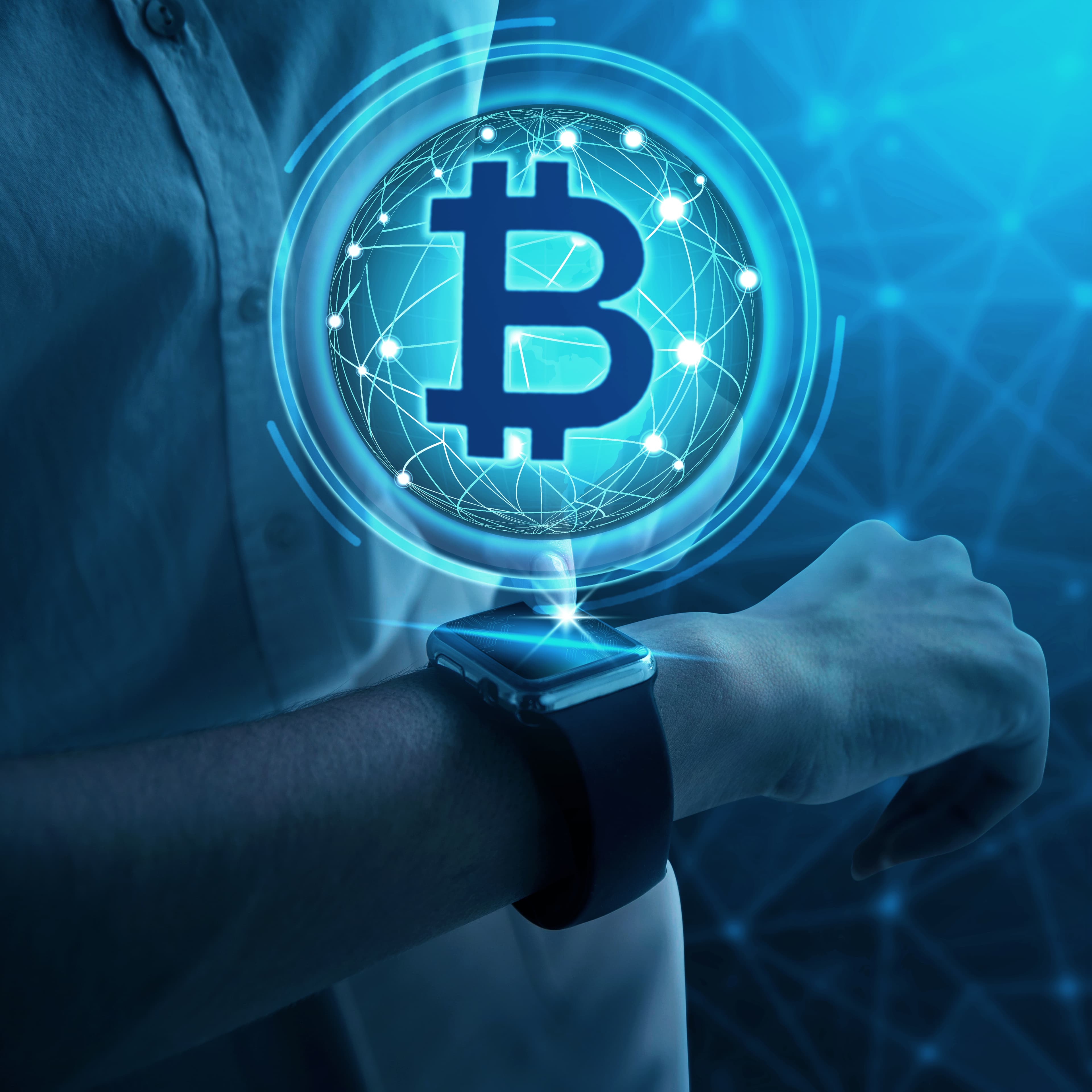 Bitcoin Payment Privacy